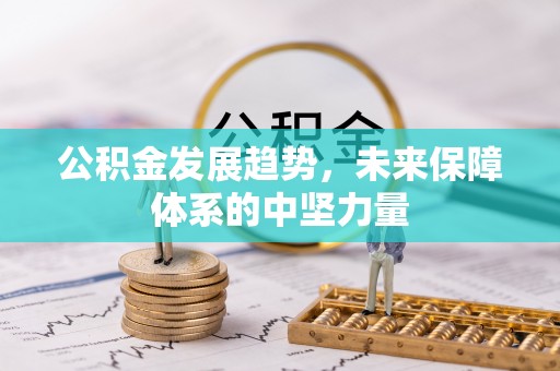 大甲公积金发展趋势，未来保障体系的中坚力量