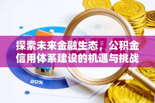 大甲探索未来金融生态，公积金信用体系建设的机遇与挑战