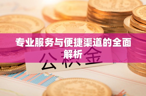 大甲专业服务与便捷渠道的全面解析