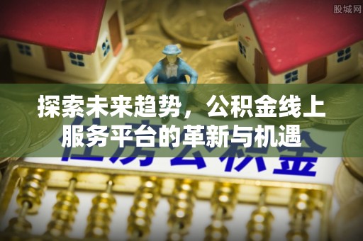大甲探索未来趋势，公积金线上服务平台的革新与机遇