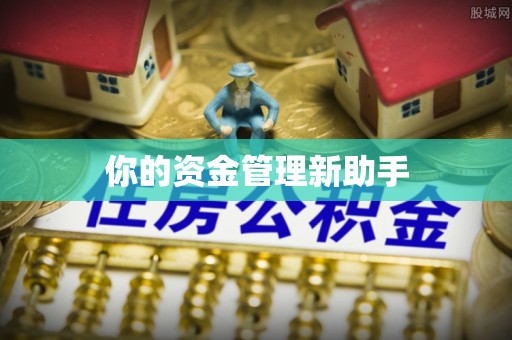 大甲你的资金管理新助手