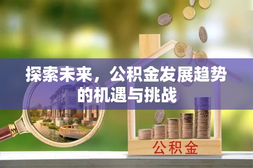 大甲探索未来，公积金发展趋势的机遇与挑战
