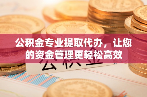 大甲公积金专业提取代办，让您的资金管理更轻松高效