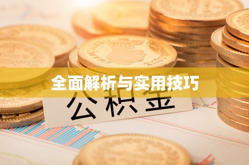 大甲全面解析与实用技巧