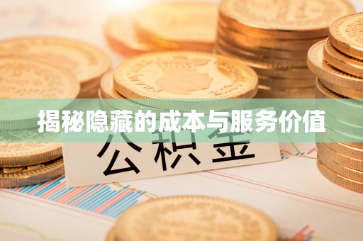 大甲揭秘隐藏的成本与服务价值