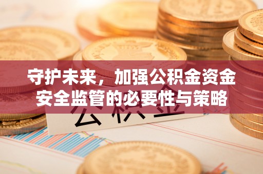 大甲守护未来，加强公积金资金安全监管的必要性与策略