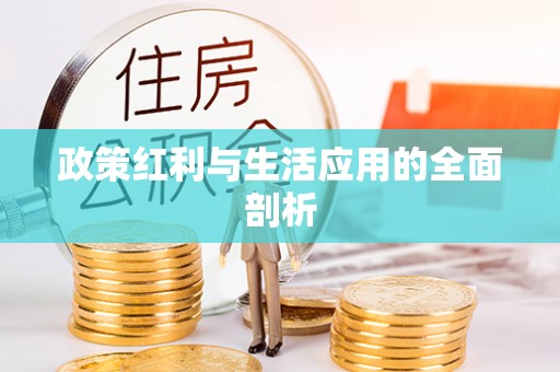 大甲政策红利与生活应用的全面剖析