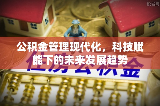 大甲公积金管理现代化，科技赋能下的未来发展趋势