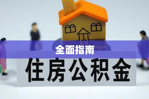 大甲全面指南