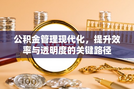 大甲公积金管理现代化，提升效率与透明度的关键路径