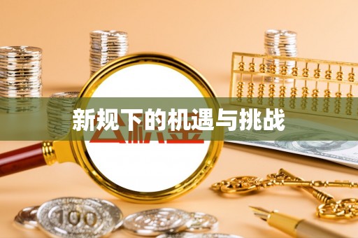 大甲新规下的机遇与挑战
