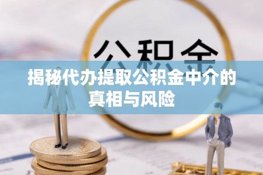 大甲揭秘代办提取公积金中介的真相与风险