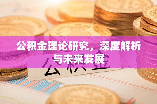 大甲公积金理论研究，深度解析与未来发展