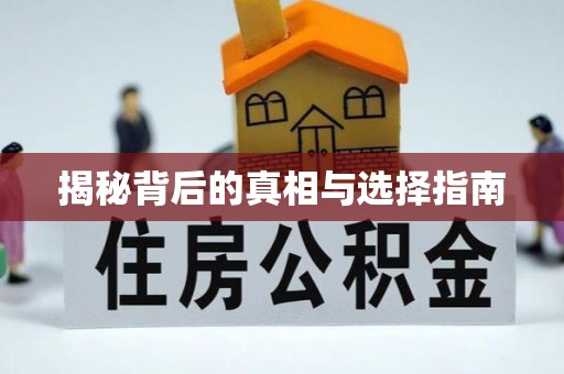 大甲揭秘背后的真相与选择指南