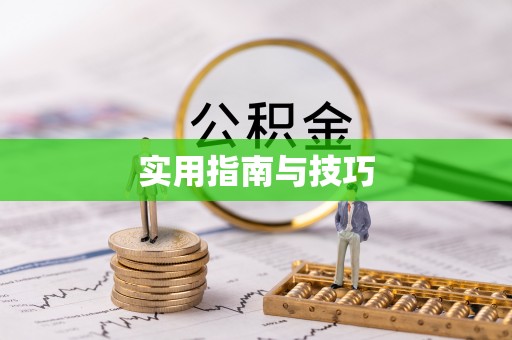 大甲实用指南与技巧