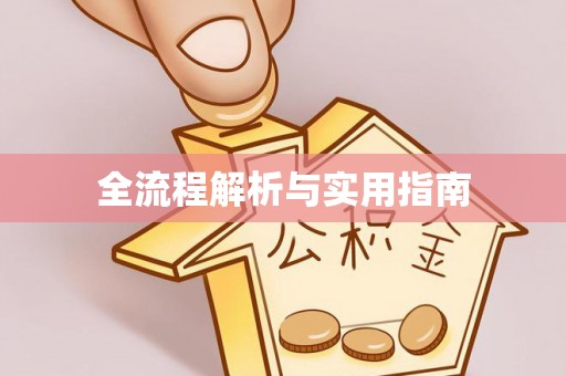 大甲全流程解析与实用指南