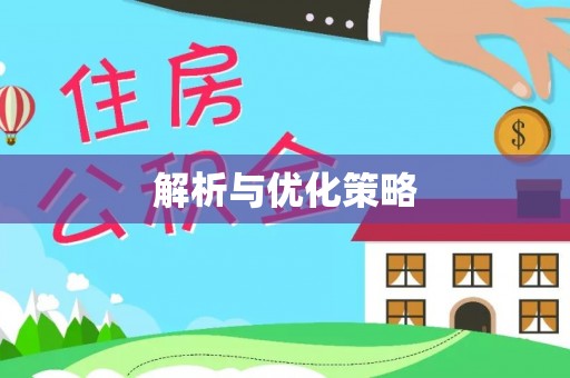 大甲解析与优化策略