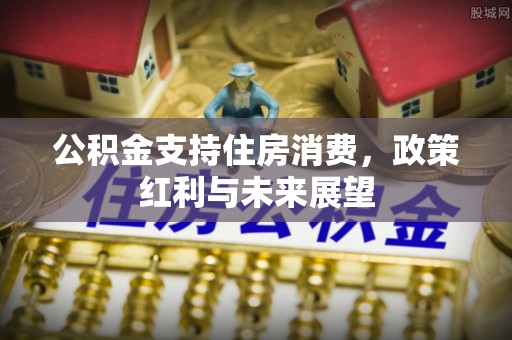 大甲公积金支持住房消费，政策红利与未来展望