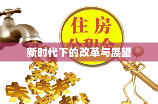 大甲新时代下的改革与展望