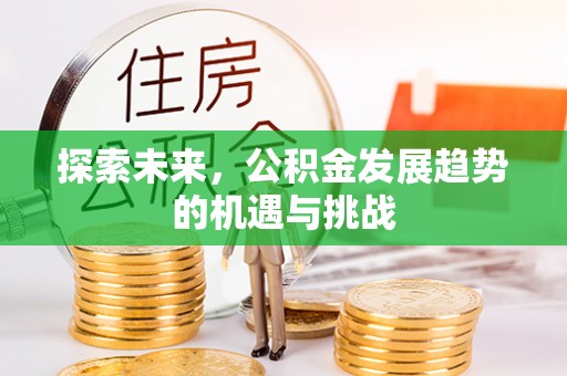大甲探索未来，公积金发展趋势的机遇与挑战