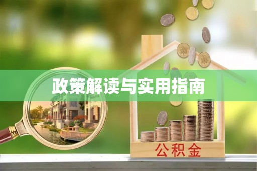 大甲政策解读与实用指南