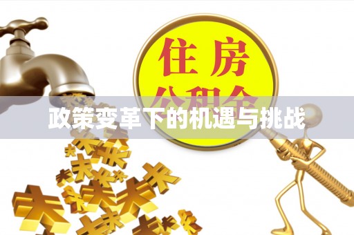 大甲政策变革下的机遇与挑战
