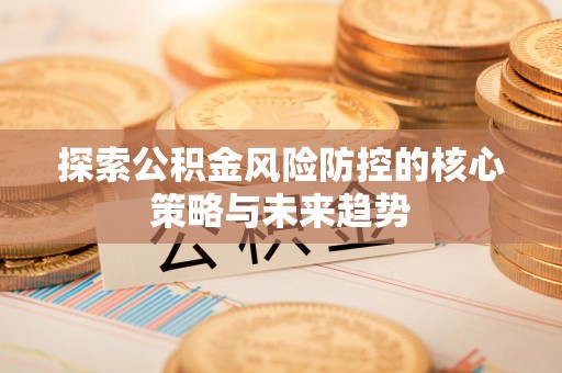 大甲探索公积金风险防控的核心策略与未来趋势