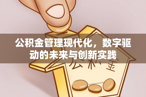大甲公积金管理现代化，数字驱动的未来与创新实践