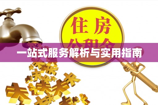大甲一站式服务解析与实用指南