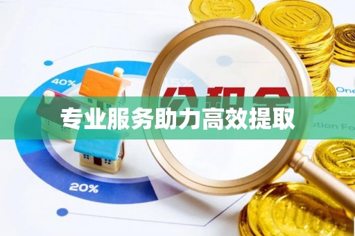 大甲专业服务助力高效提取
