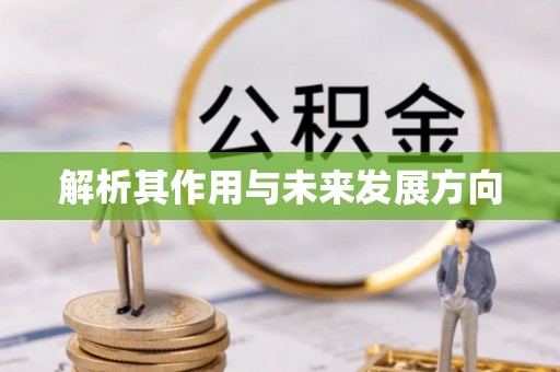 大甲解析其作用与未来发展方向