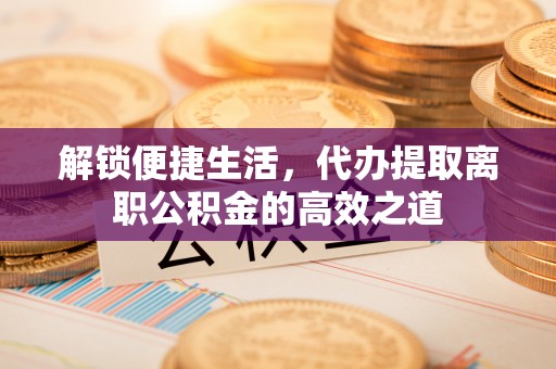 大甲解锁便捷生活，代办提取离职公积金的高效之道