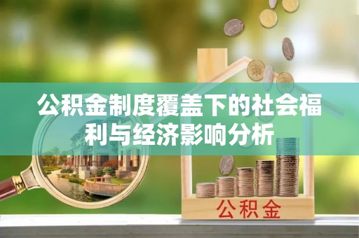 大甲公积金制度覆盖下的社会福利与经济影响分析