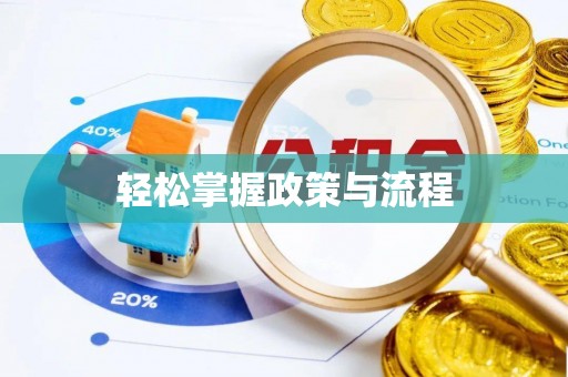 大甲轻松掌握政策与流程
