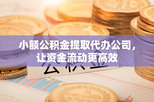 大甲小额公积金提取代办公司，让资金流动更高效