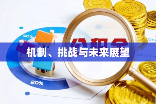 大甲机制、挑战与未来展望
