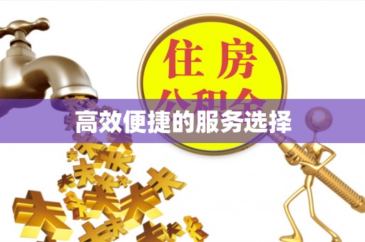 大甲高效便捷的服务选择