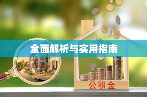 大甲全面解析与实用指南