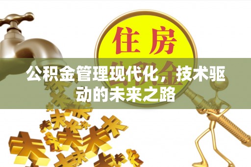 大甲公积金管理现代化，技术驱动的未来之路